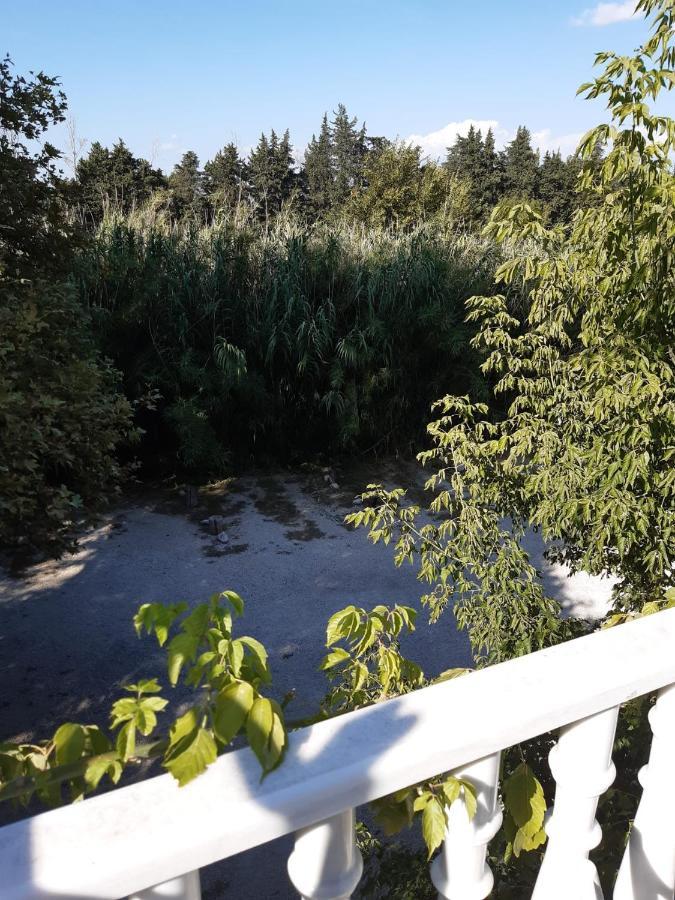 Au Pays Du Ventoux Bed & Breakfast Le Thor Ngoại thất bức ảnh
