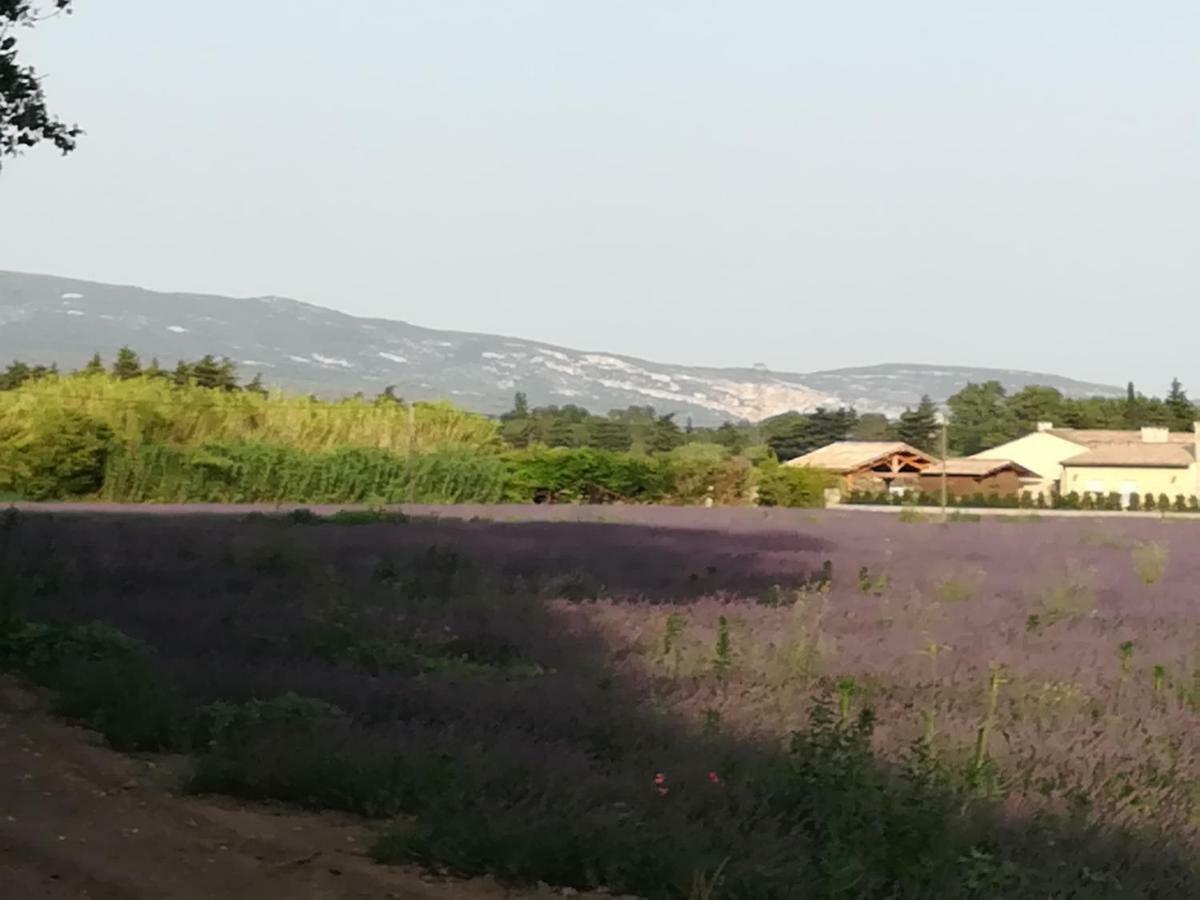 Au Pays Du Ventoux Bed & Breakfast Le Thor Ngoại thất bức ảnh