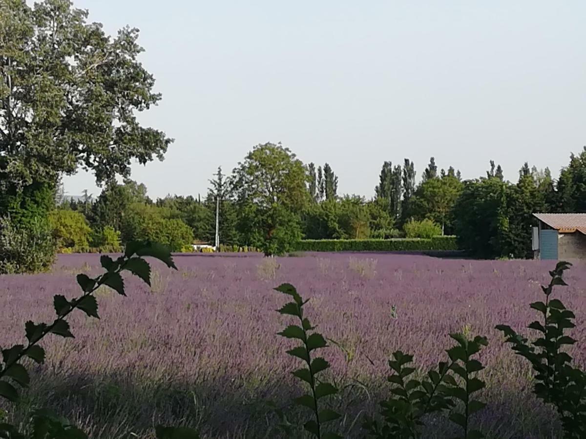 Au Pays Du Ventoux Bed & Breakfast Le Thor Ngoại thất bức ảnh